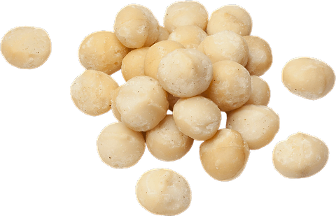 Macadamianoten in bulk BIO